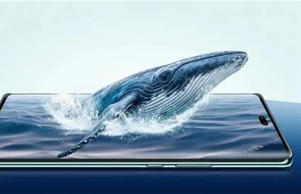  Features an IP64 rating for dust and water resistance and is designed with shock-absorbing materials. 